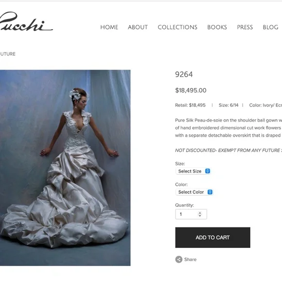 Pucchi Dresses St Pucchi Two Piece Wedding Dress Poshmark